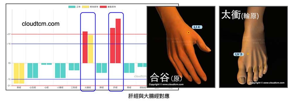 現代人肝經與大腸經，經常出現實證