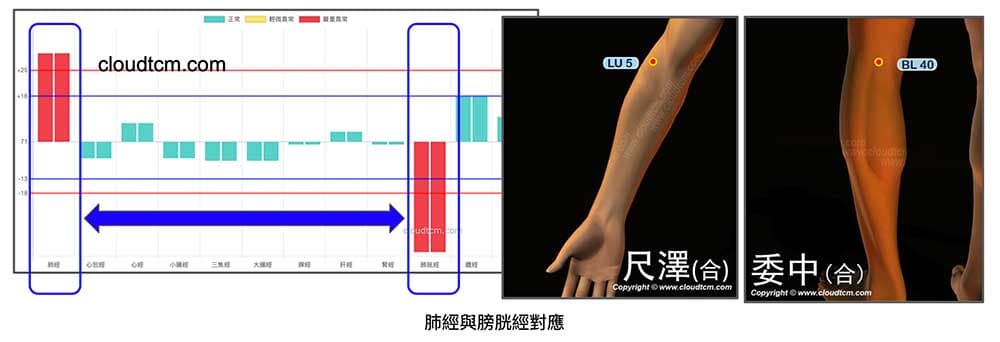 多數人的肺經與膀胱經能量呈現相反的不平衡現象