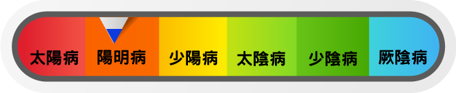 白虎湯證主要位於陽明病階段