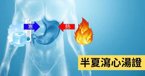 半夏(生薑,甘草)瀉心湯證