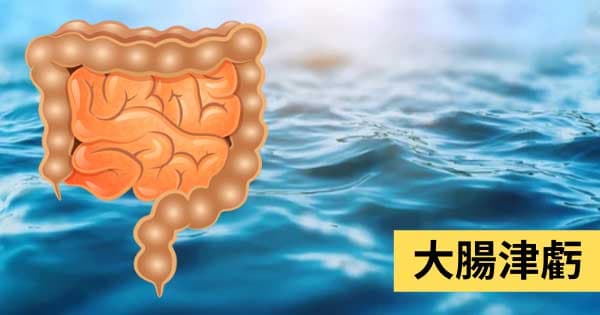大腸津虧