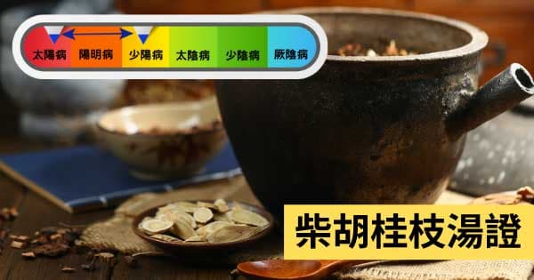 柴胡桂枝湯證