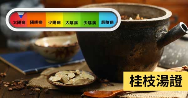 桂枝湯證