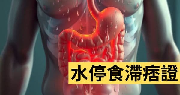 水停食滯痞證