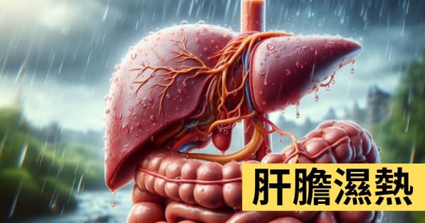 肝膽濕熱