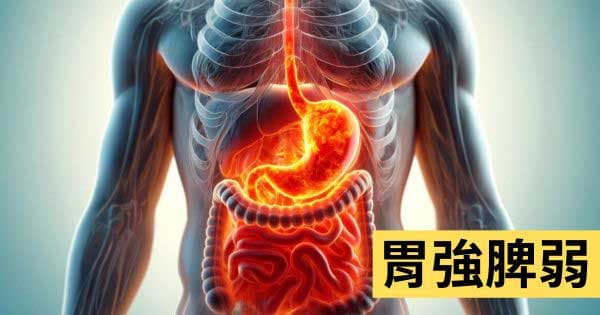 胃強脾弱