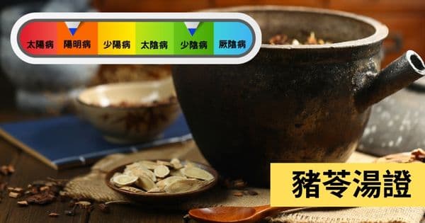 豬苓湯證