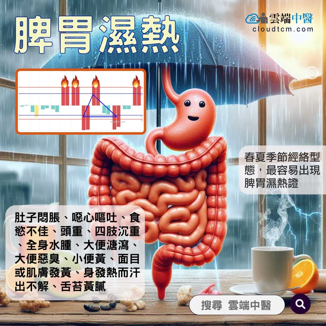 脾胃濕熱經絡圖