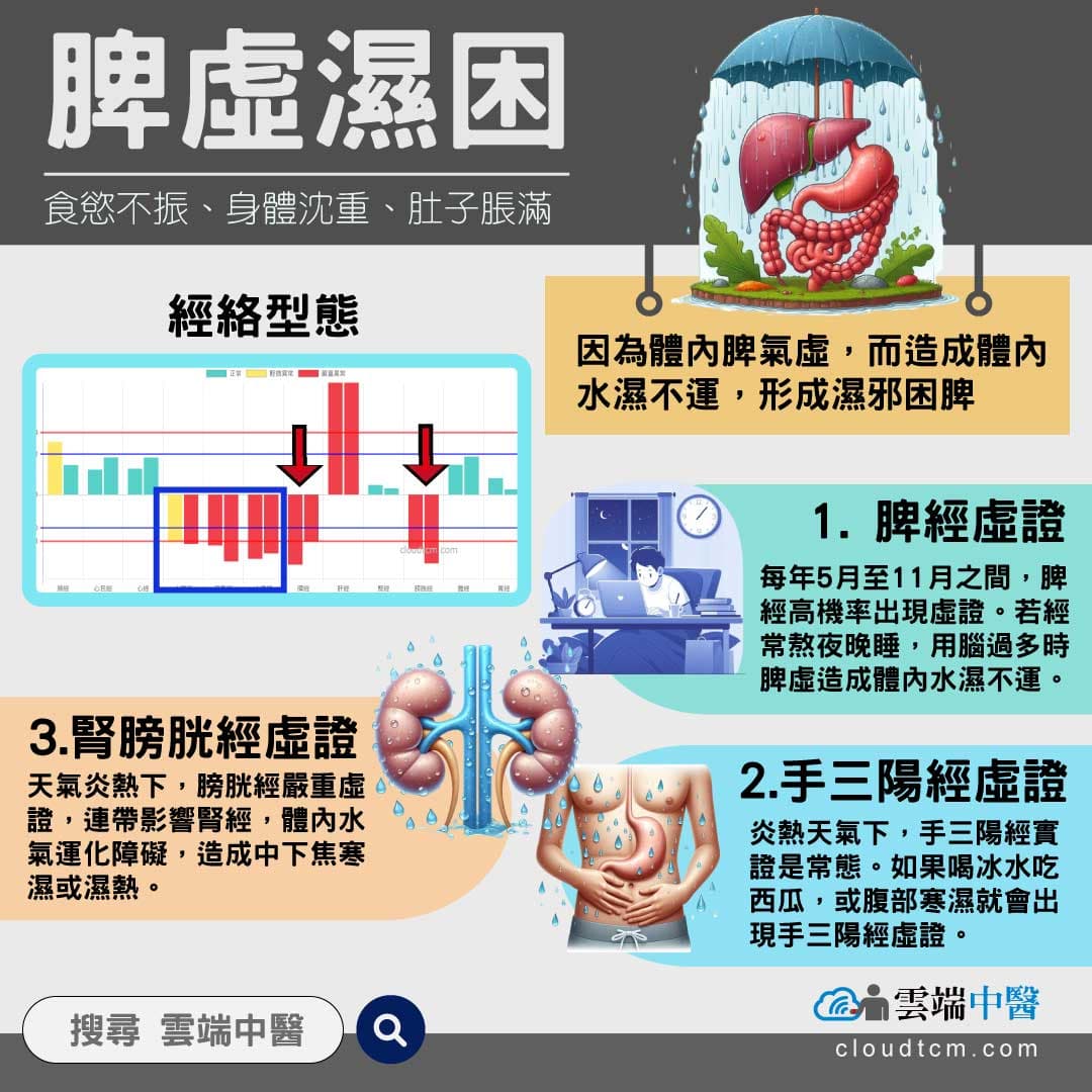 https://static.cloudtcm.com/syndrome/IG%E8%84%BE%E8%99%9B%E6%BF%95%E5%9B%B0%E8%AD%893.jpg