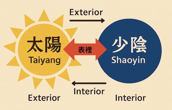 太陽與少陰之間，具有表裡關係