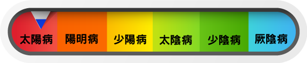 大青龍湯證，主要應用於太陽病範疇