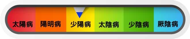 少陽病