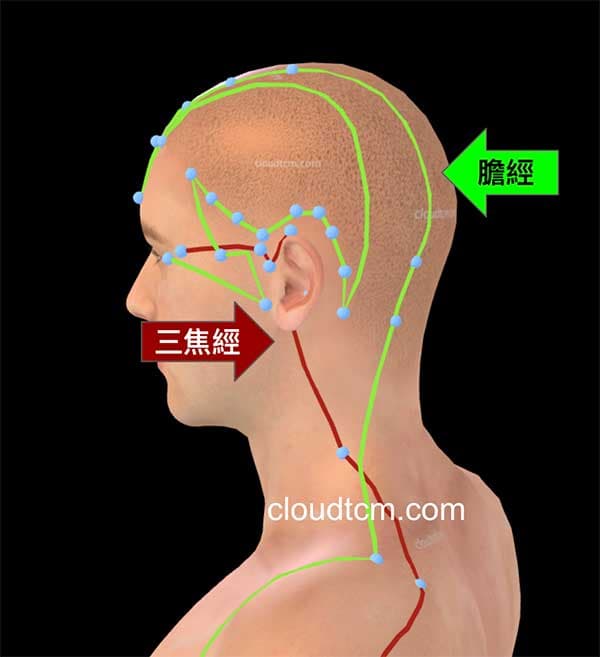 少陽經異常時會出現暈眩、口苦、耳鳴與失眠