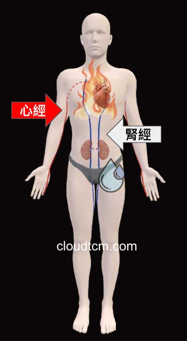 心經與腎經都通過胸部與心臟