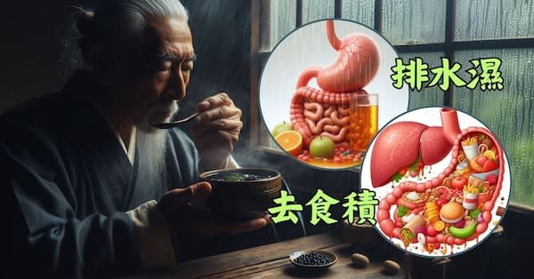 運用中藥排除水濕，去除腸胃的食積