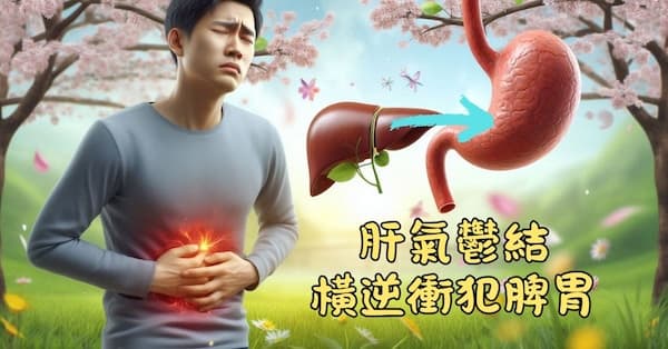 肝臟氣血異常時，會影響到脾胃的功能
