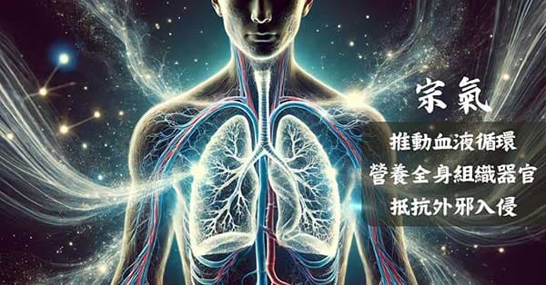 宗氣可推動血液循環，抵抗外邪入侵