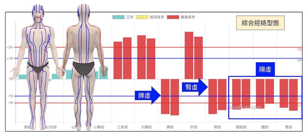 綜合經絡型態容易出現脾腎陽虛現象