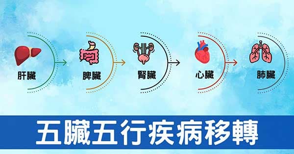 從經絡臟腑五行理解「上工治未病」的原理與方法!