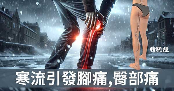 寒流引發腳痛、臀部痛,觀察太陽膀胱經的經絡變化!