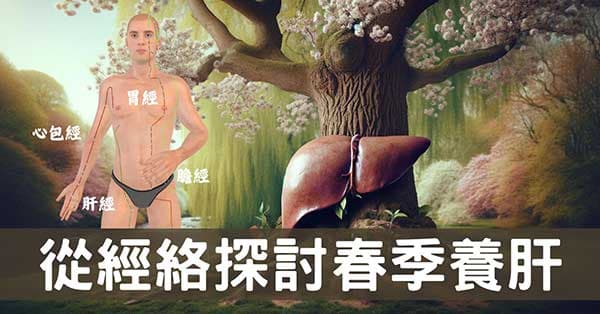 從經絡數據理解,春夏保養肝經的4個重點方法!