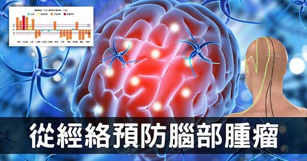 理解腦瘤的4種經絡型態,透過個人化養生精確預防!
