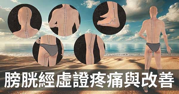 炎熱季節觀察膀胱經與疼痛的關係,找出止痛的方法!