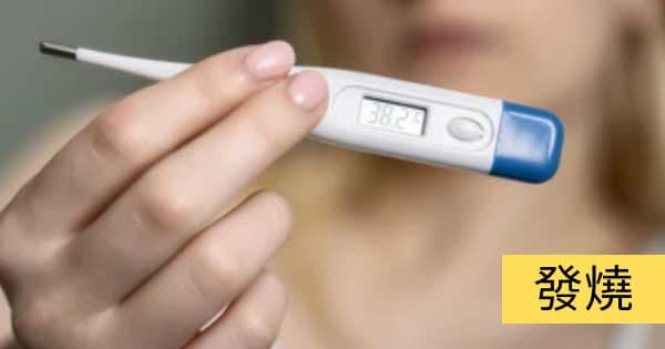 發燒