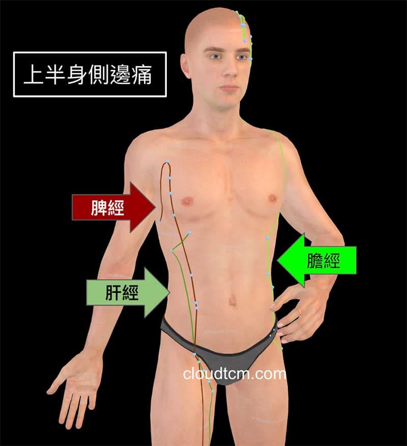 通過身體側邊的經絡有肝經,脾經與膽經