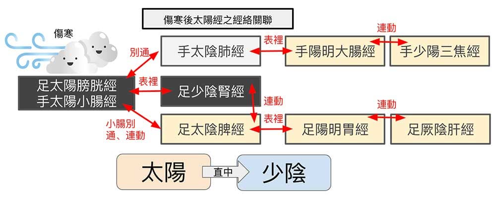 傷寒感冒後,單就太陽經影響的層面就很複雜