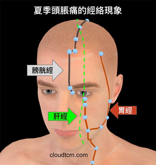 夏季容易造成頭脹痛的經絡