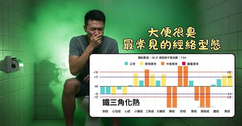 大便偏臭,最常見鐵三角化熱經絡型態