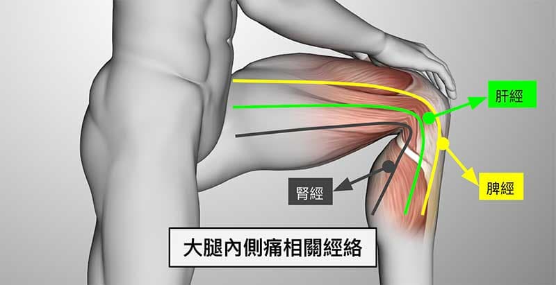 大腿內側痛受到肝經、脾經與腎經影響