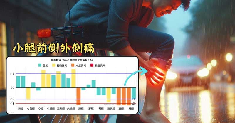 容易出現小腿前側外側痛的經絡型態