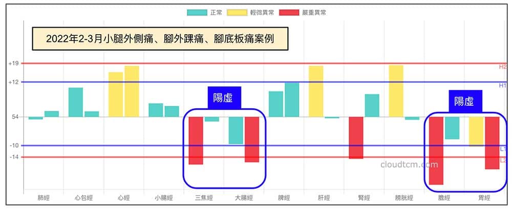 2022年小腿前側、外側痛案例