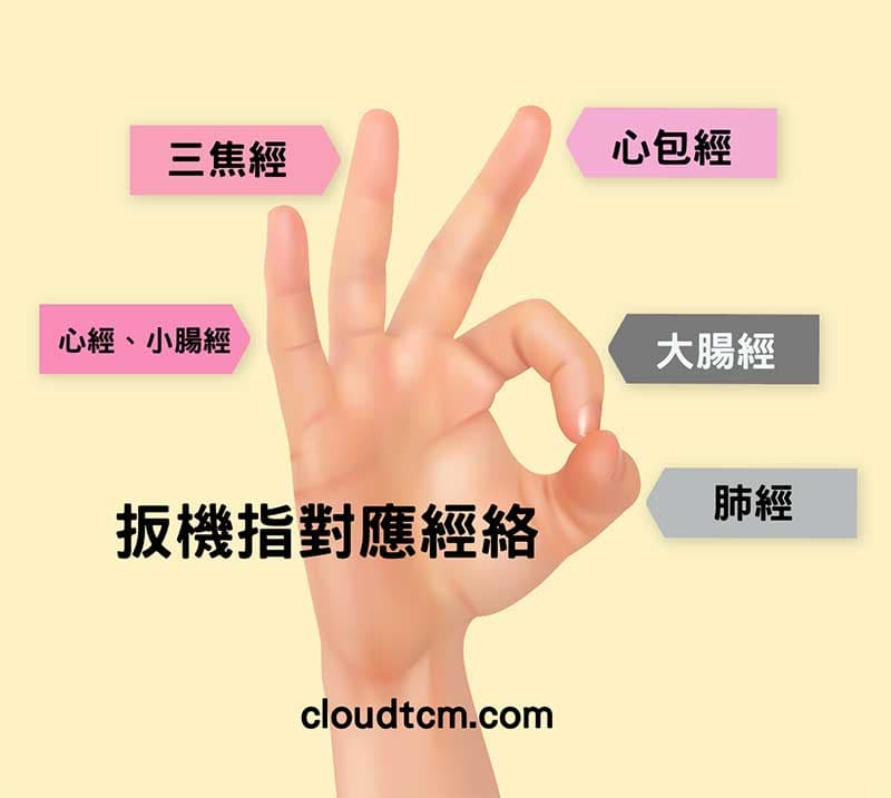 每一個手指的扳機指,都有所屬對應經絡