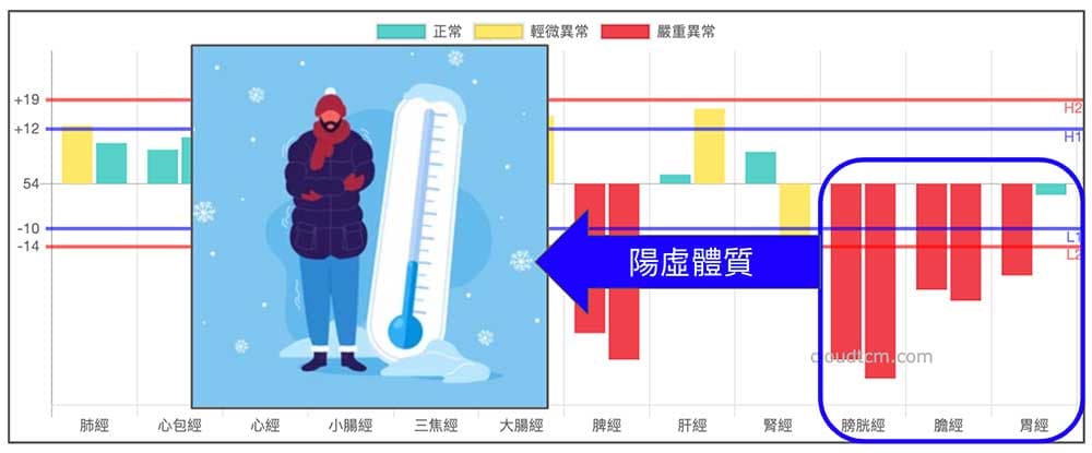 現代人經常是處於陽虛經絡體質