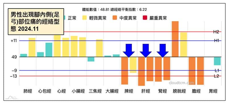 男性腳內側(足弓)部位的經絡型態
