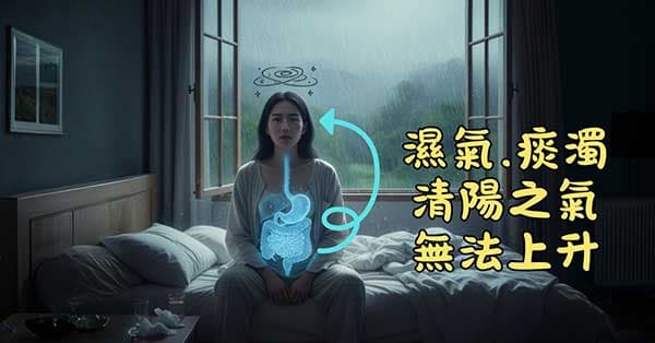 痰濁導致清陽之氣無法上升,造成頭昏