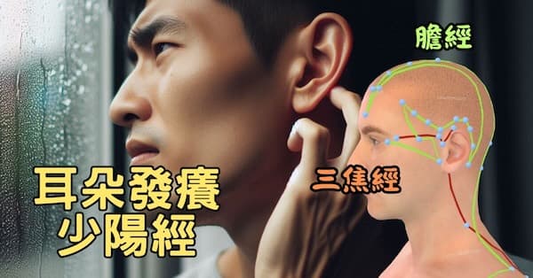 耳朵發癢與少陽經(膽經、三焦經)密切相關