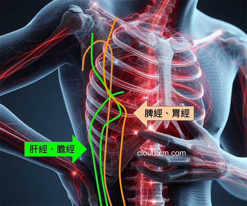 肋間疼痛，主要通過經絡是肝膽脾胃經