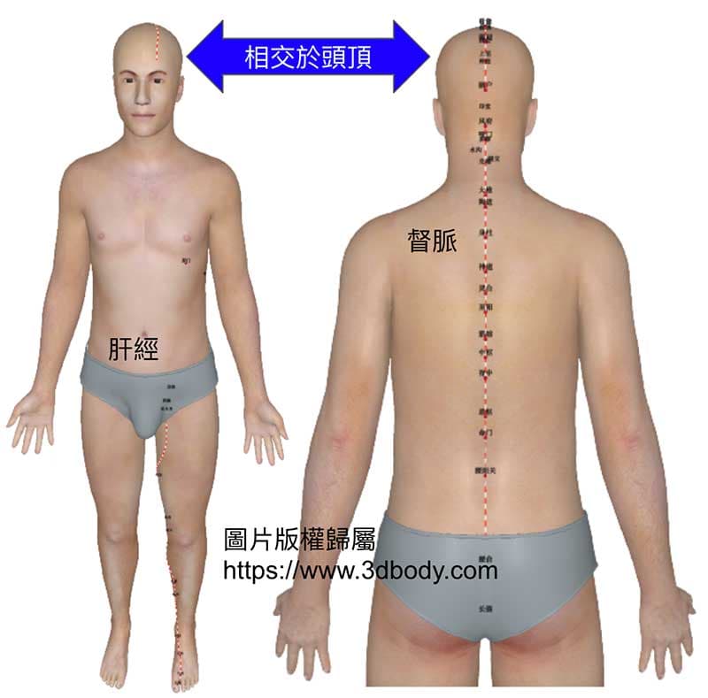 肝經與督脈相交於頭頂