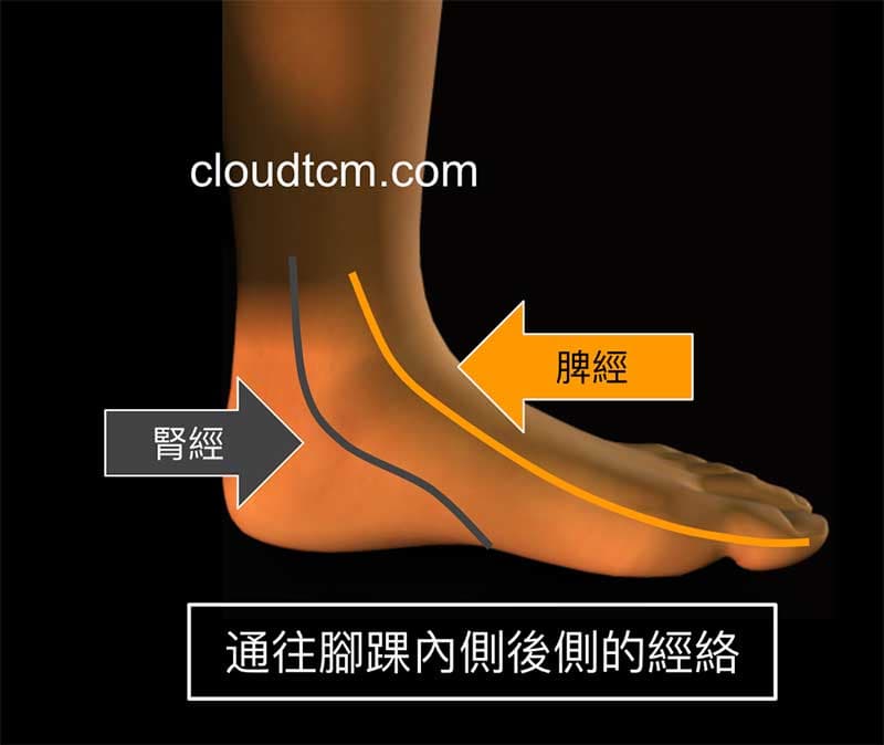 通往腳踝內側後的經絡經絡是腎經與脾經