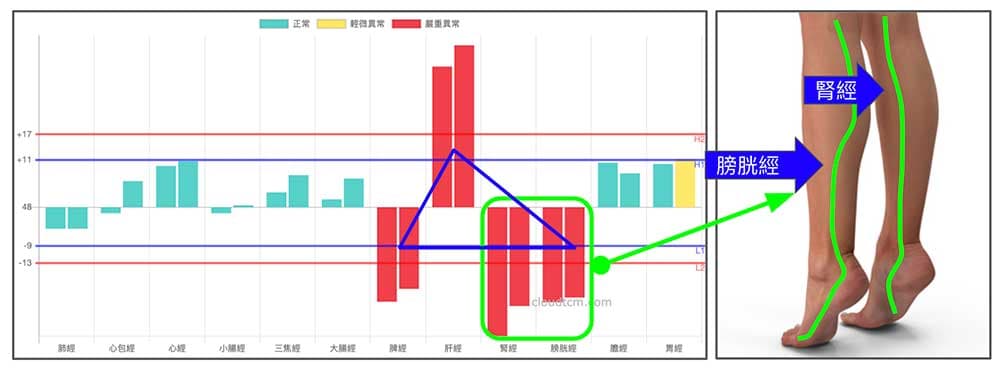 腎經與膀胱經時常同時虛證,造成小腿容易抽筋