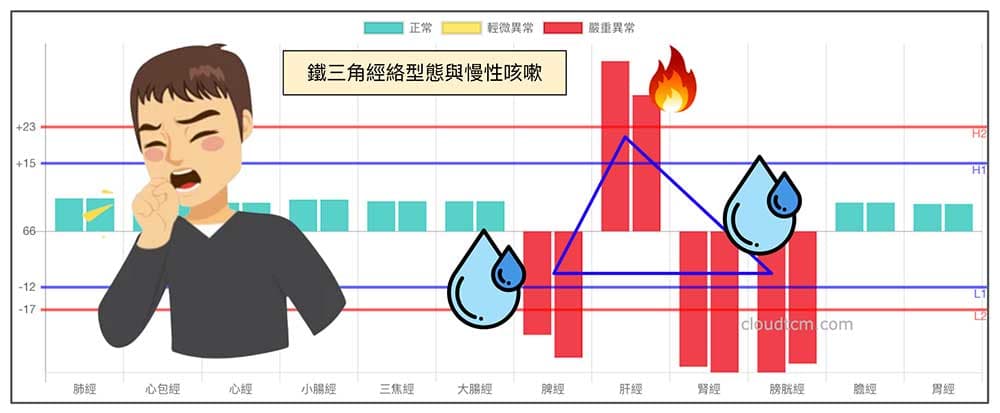 鐵三角經絡型態很容易出現脾虛咳嗽
