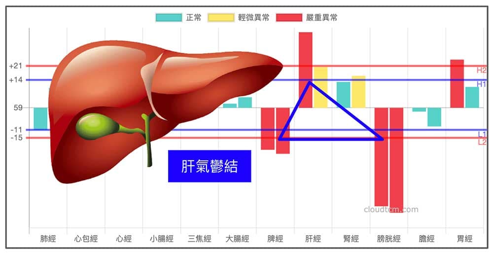 現代人經絡體質普遍肝氣鬱結