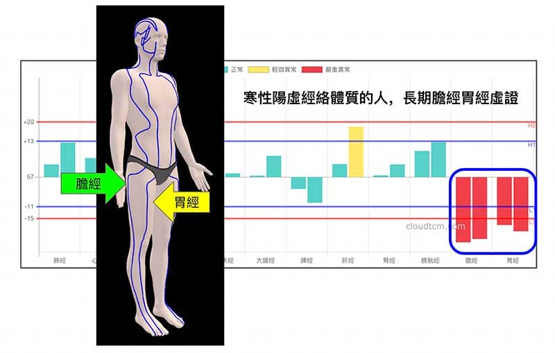 寒性陽虛經絡體質的人，長期膽經胃經虛證