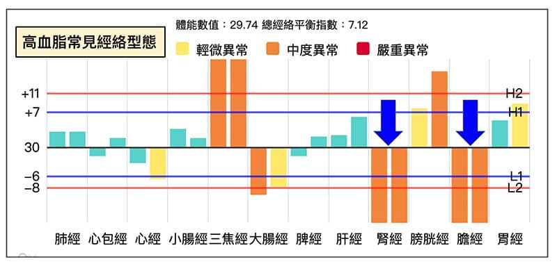高血脂常見的陽虛經絡型態