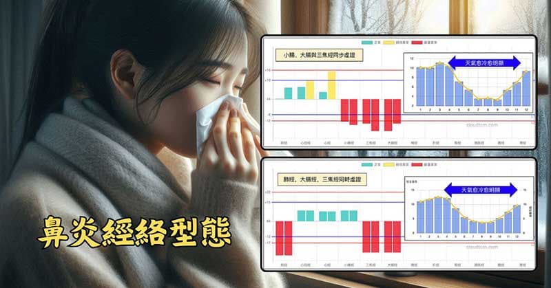 鼻炎常見的手三陽經虛證相關經絡型態
