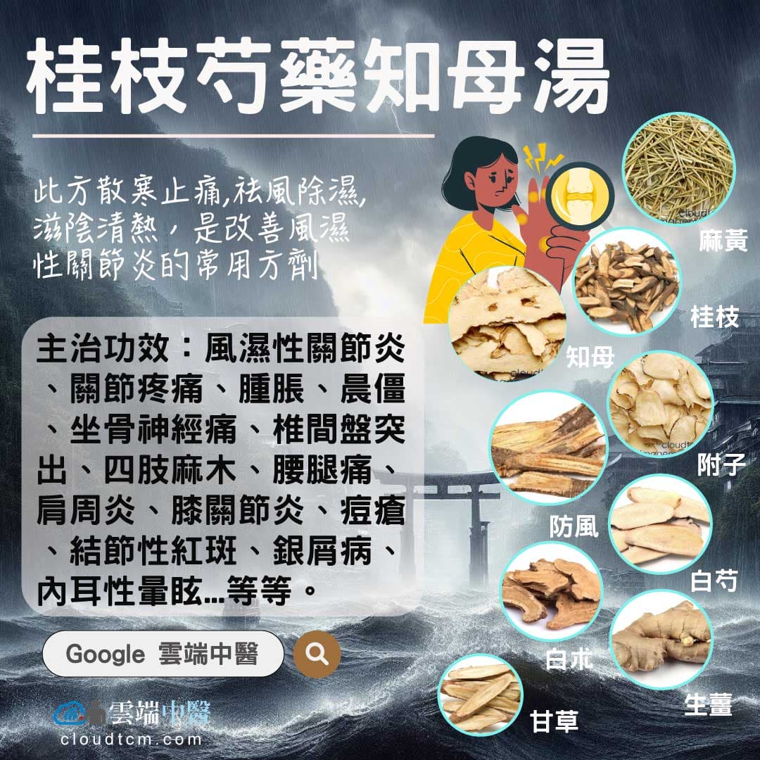 桂枝芍藥知母湯